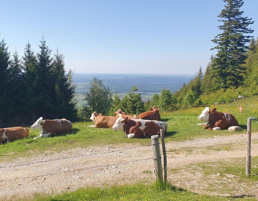 Romantisches Alpenchalet - Mit Sauna Und Kamin - Ruhig Und Zentral Bad Tölz Exteriér fotografie